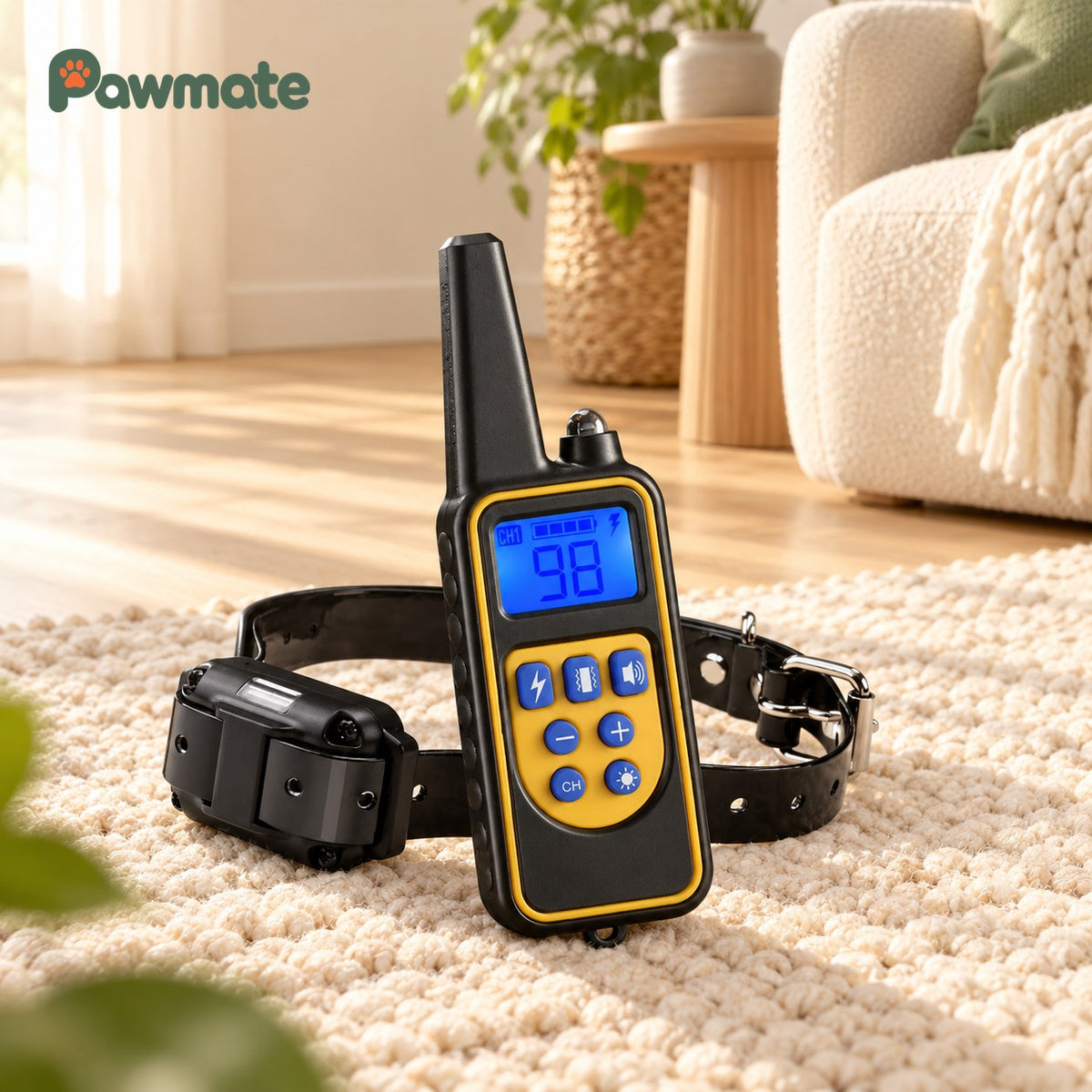 Remote dog training collar with LCD remote and receiver collar on a cream rug