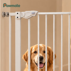 Close-up of the pet gate's latch handle and pressure-fit wall mount with a golden retriever behind the bars