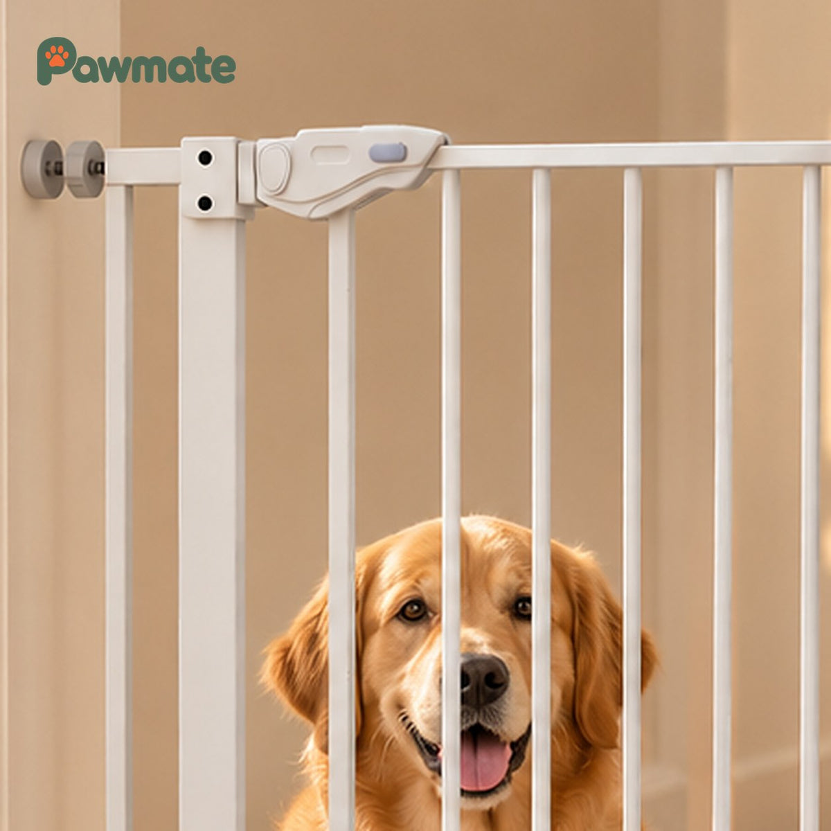 Close-up of the pet gate's latch handle and pressure-fit wall mount with a golden retriever behind the bars