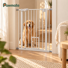 Golden retriever sitting calmly behind the white extra-tall pet gate