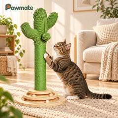 Cactus cat tree with sisal post and ball track base