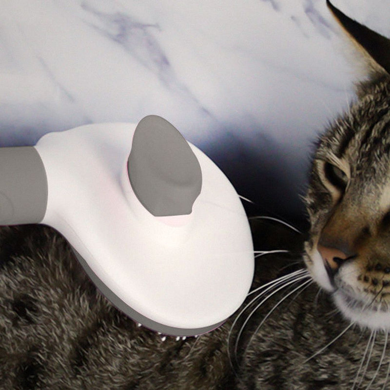 Self-cleaning grooming brush on a tabby cat